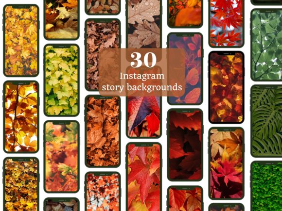 Download Autumn Leaves Instagram Story Background - Background Collection